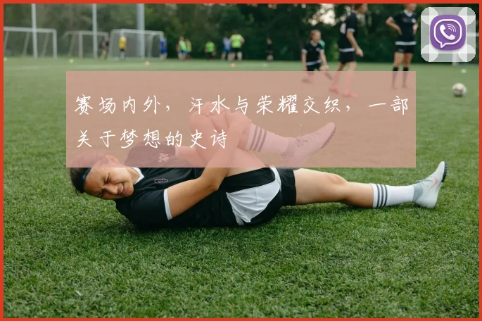 赛场内外,汗水与荣耀交织,一部关于梦想的史诗
