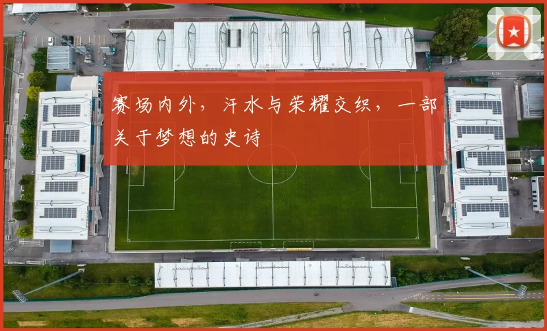 赛场内外,汗水与荣耀交织,一部关于梦想的史诗